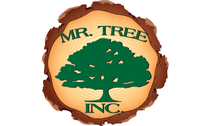 mr tree services